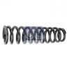 SCANI 1466179 Coil Spring